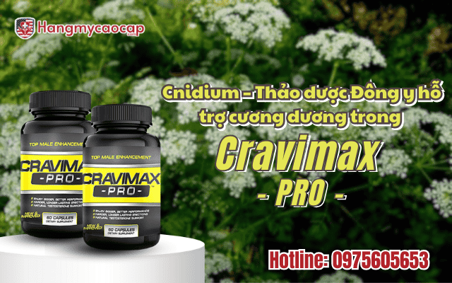cnidium-thao-duoc-ho-tro-cuong-duong-trong-cravimax-pro
