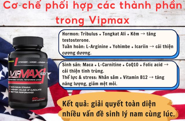 Cơ chế phối hợp các thành phần trong Vipmax