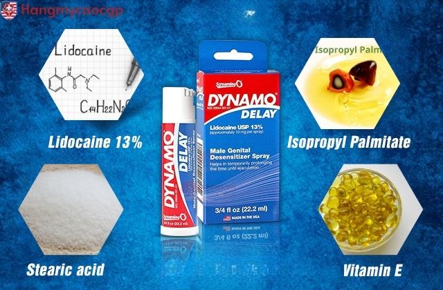 Thành phần của Dynamo Delay