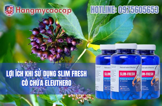 lợi ích khi sử dụng slim fresh có chứa eleuthero