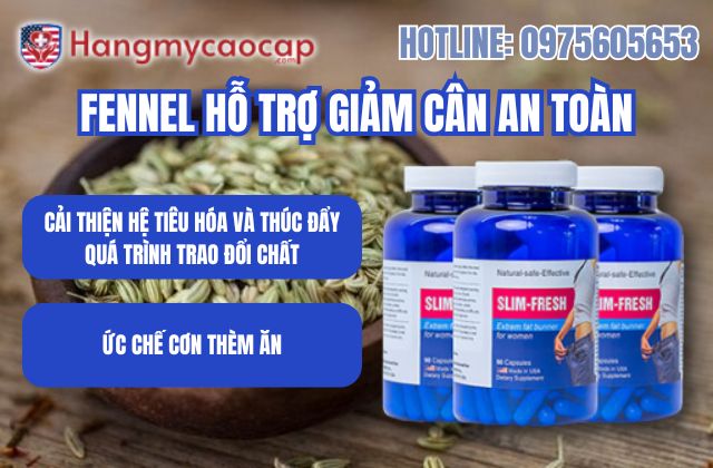 fennel có hỗ trợ giảm cân an toàn không mệt mỏi