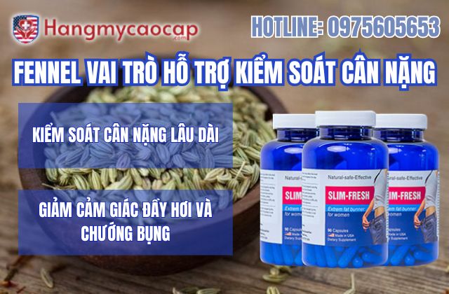 vai trò của fennel trong slim fresh đối với việc hỗ trợ kiểm soát cân nặng