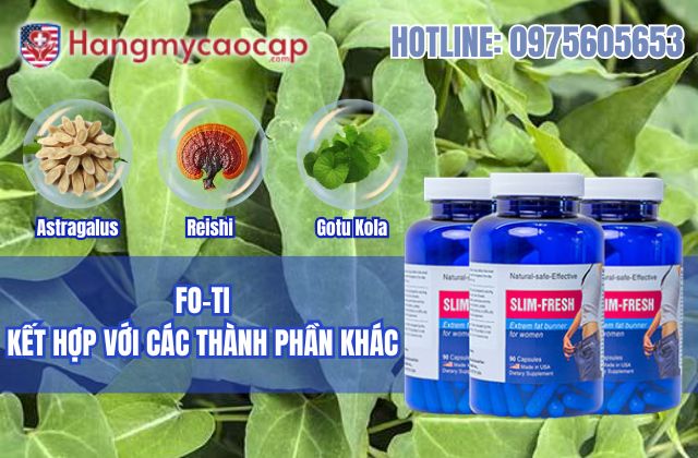 fo ti kết hợp với các thành phần khác