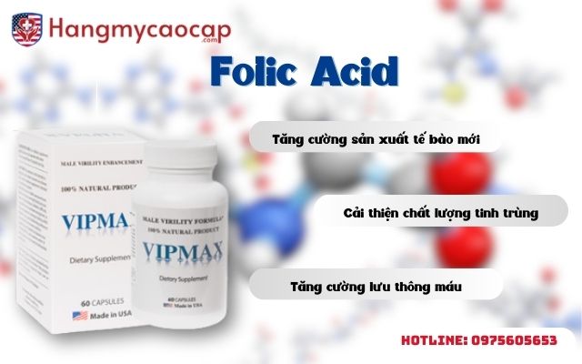 vai trò folic acid