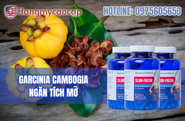 garcinia cambogia là gì