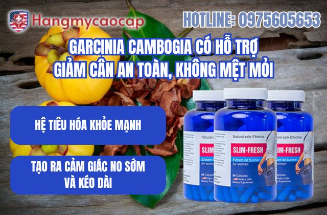 garcinia cambogia có hỗ trợ giảm cân an toàn không mệt mỏi