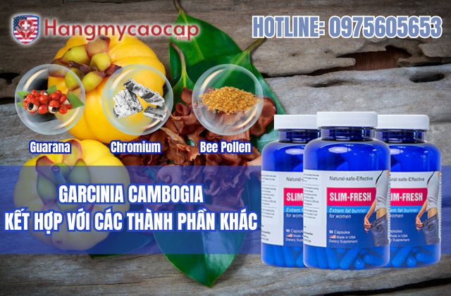 garcinia cambogia kết hợp với các thành phần khác
