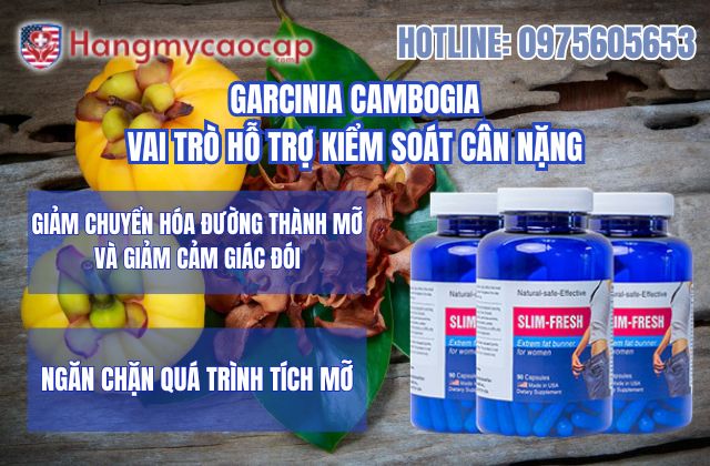 vai trò của garcinia cambogia trong slim fresh đối với việc hỗ trợ kiểm soát cân nặng