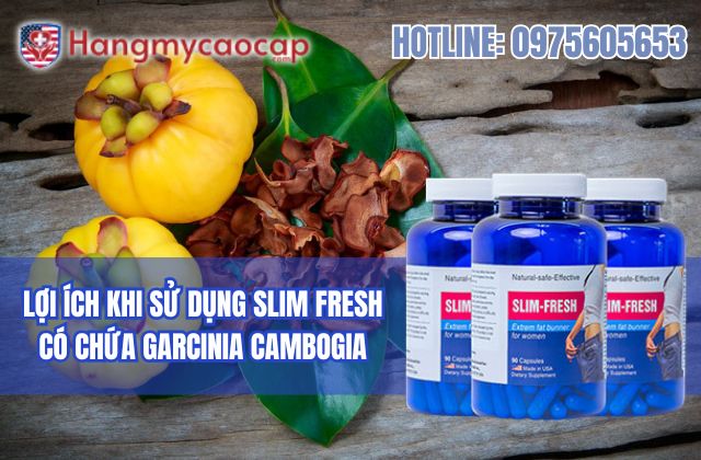 lợi ích khi sử dụng slim fresh có chứa garcinia cambogia