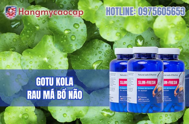 gotu kola là gì