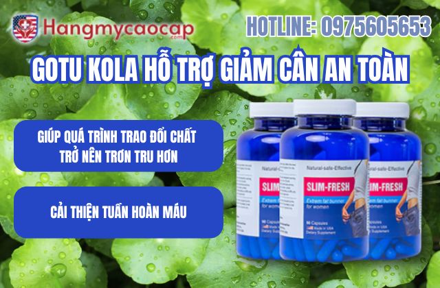 gotu kola có hỗ trợ giảm cân an toàn không mệt mỏi