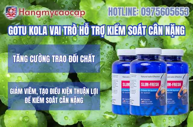 vai trò của gotu kola trong slim fresh đối với việc hỗ trợ kiểm soát cân nặng