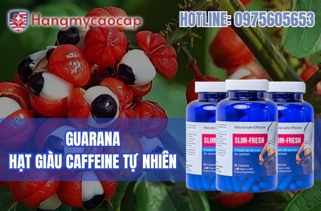 guarana là gì