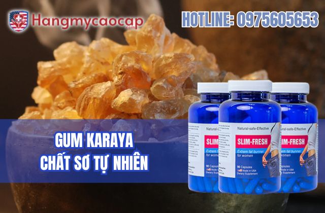 gum karaya là gì