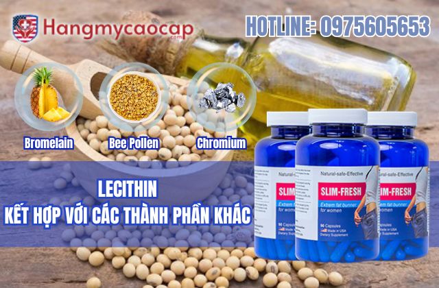 lecithin kết hợp với các thành phần khác