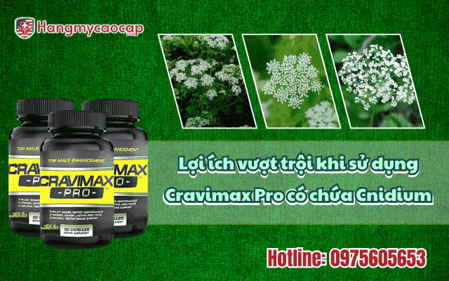 loi-ich-vuot-troi-khi-su-dung-cravimax-pro-co-chua-cnidium