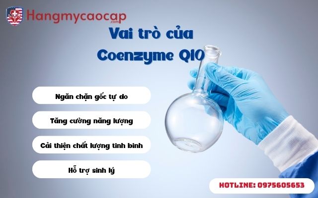 Vai trò của Coenzyme Q10