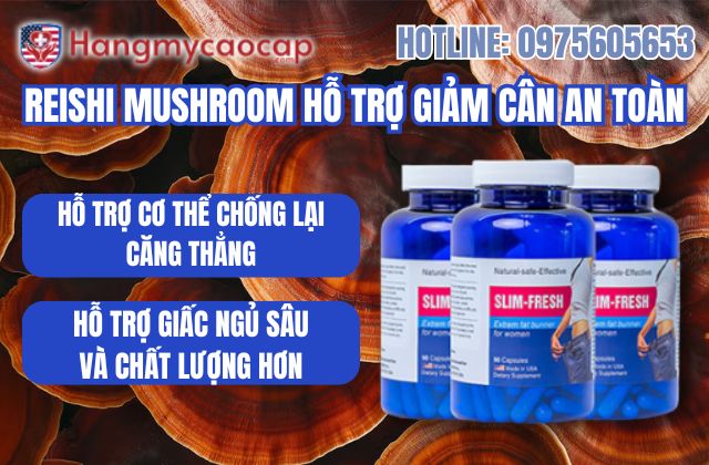 reishi mushroom hỗ trợ giảm cân an toàn