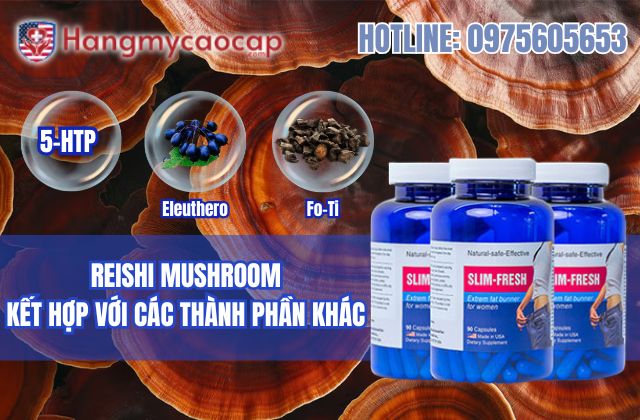 reishi mushroom kết hợp với các thành phần khác