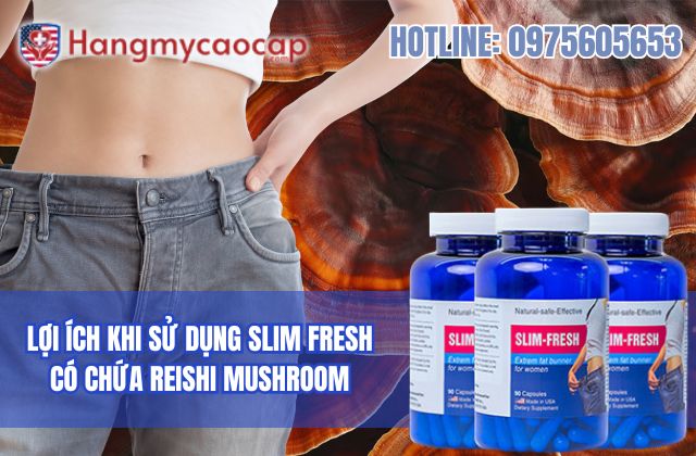 lợi ích khi sử dụng slim fresh có chứa reishi mushroom