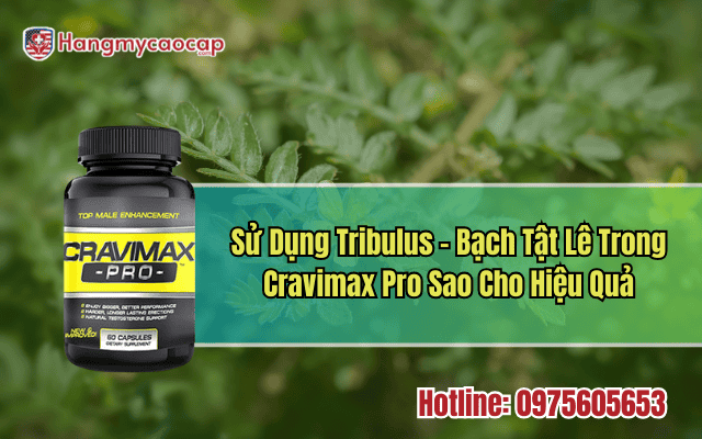 su-dung-tribulus-trong-cravimax-pro-sao-cho-hieu-qua