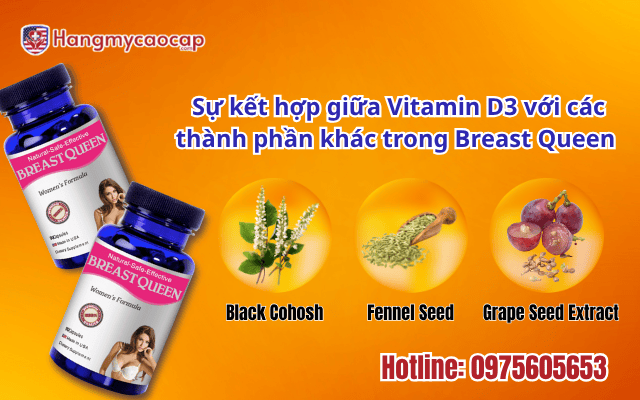 su-ket-hop-giua-vitamin-d3-voi-cac-thanh-phan-phan-khac-trong-breast-queen