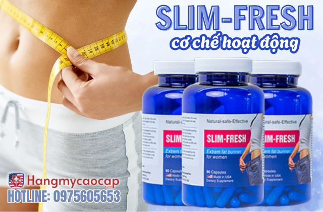 tổng hợp cơ chế giảm cân từ Slim Fresh