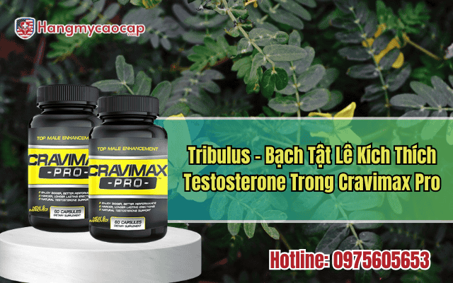 tribulus-bach-tat-le-kich-thich-testosterone-trong-cravimac-pro