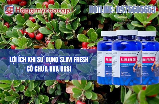 lợi ích khi sử dụng slim fresh có chứa uva ursi