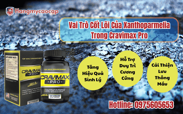 vai-tro-cot-loi-cua-xanthoparmelia-trong-cravimax-pro