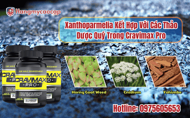 xanthoparmelia-ket-hop-voi-cac-thao-duoc-quy-trong-cravimax-pro