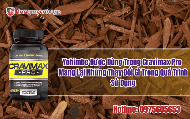 yohimbe-duoc-dung-trong-cravimax-pro-mang-lai-nhung-thay-doi-gi