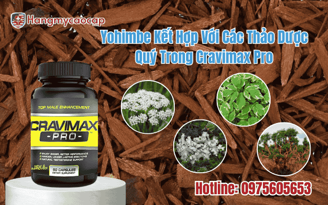 yohimbe-ket-hop-voi-cac-thao-duoc-quy-trong-craviamx-pro