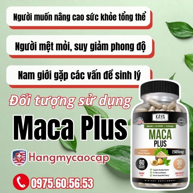 Thực phẩm bổ sung Maca Plus