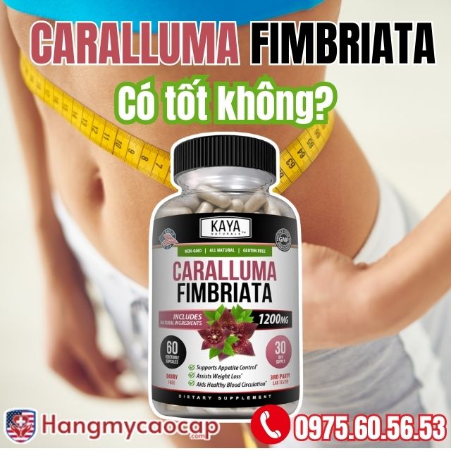 Viên uống giảm cân CARALLUMA FIMBRIATA