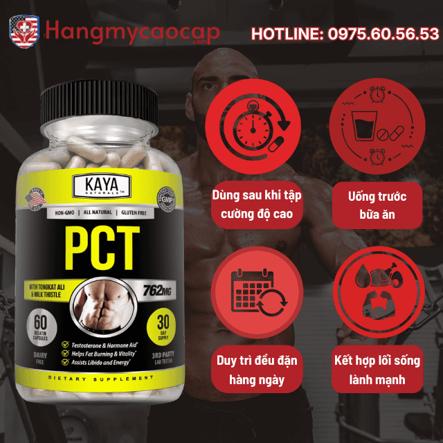 Hướng dẫn sử dụng PCT hiệu quả nhất