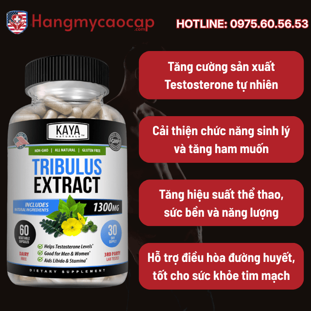Lợi ích của Tribulus đối với sức khỏe