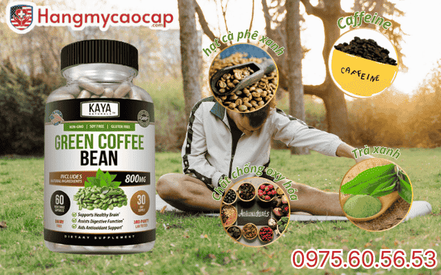 Thành phần của Green coffee bean có gì đặc biệt?