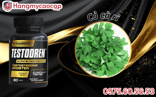 Thành phần Testodren có gì đặc biệt?