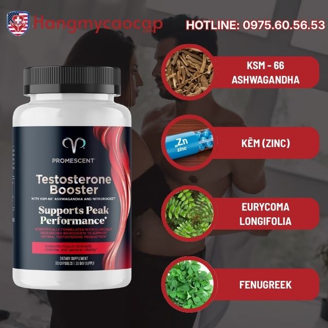 Khám phá "Công thức Vàng" trong Testosterone Booster