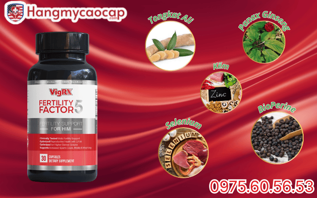 Thành phần chính trong viên uống VigRX Fertility Factor 5