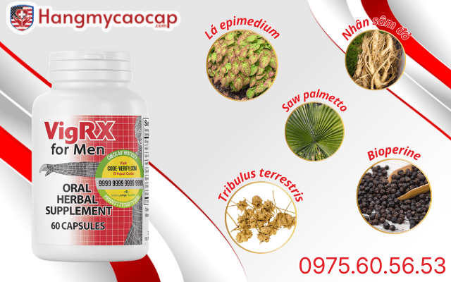 Thành phần có trong viên uống vigrx for men