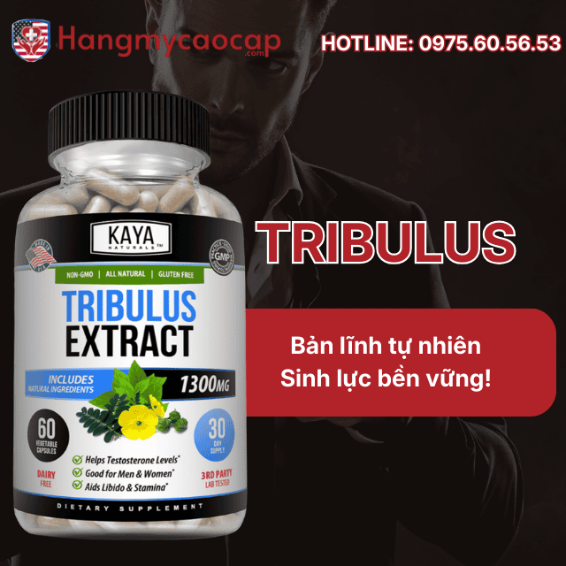 Viên uống Tribulus là gì?