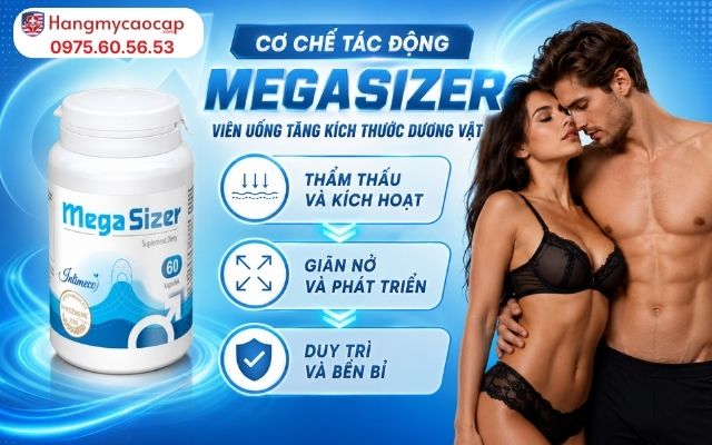 Cơ Chế Tác Động Của Viên Uống Tăng Kích Thước Dương Vật MegaSizer