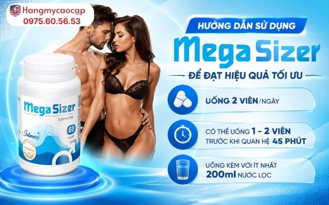 Hướng Dẫn Sử Dụng MegaSizer Để Đạt Hiệu Quả Tối Ưu