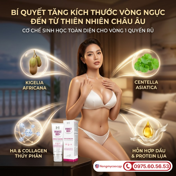 Thành phần của Perfect Bust+ 150ml