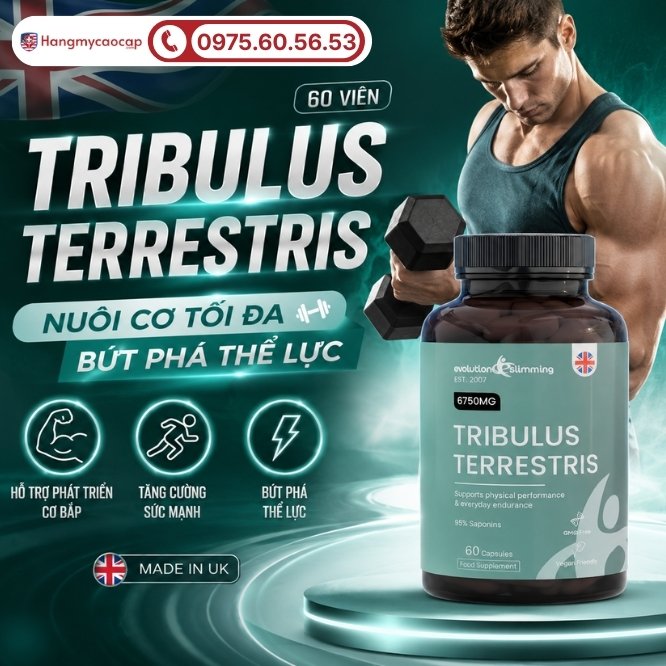 Thông tin tổng quan về Tribulus Terrestris 60 viên