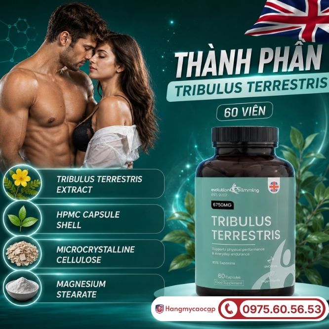 Phân tích thành phần có trong mỗi viên uống Tribulus Terrestris 60 viên