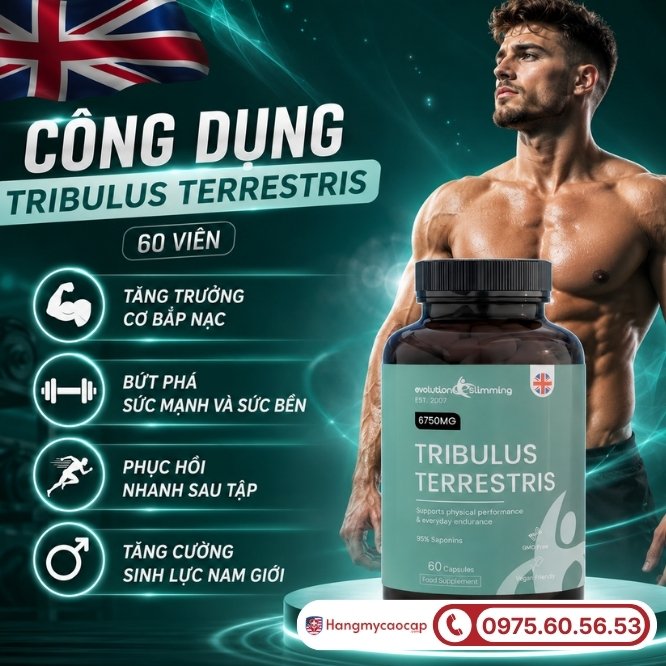 Những lợi ích vượt trội của Tribulus Terrestris 60 viên